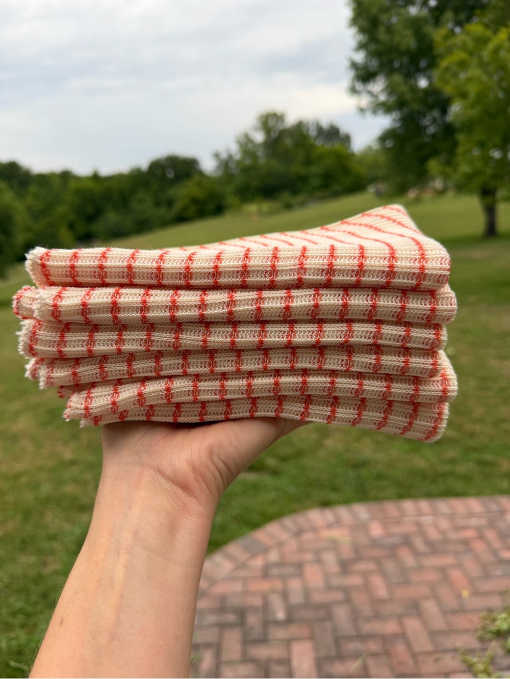 Set of 6 Amish Store World’s Best Dishcloths!